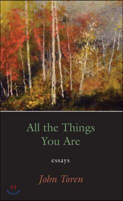 All the Things You Are: Essays