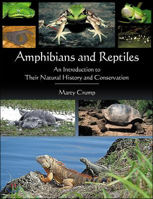 Amphibians &amp; Reptiles