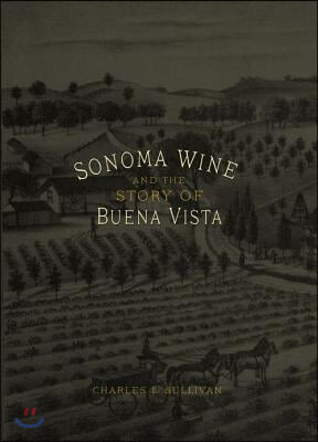 Sonoma Wine and the Story of Buena Vista