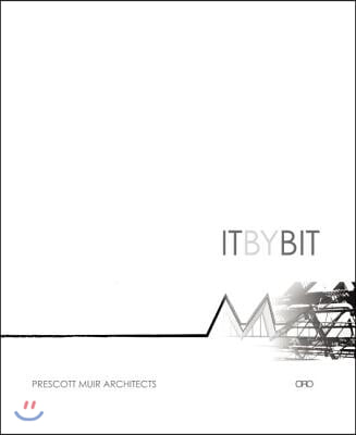 It by Bit: Evoking Simplicity from Complexity