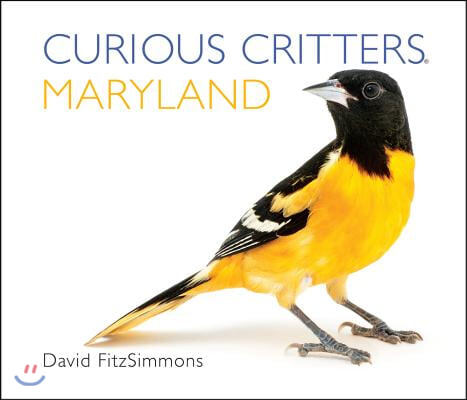 Curious Critters Maryland