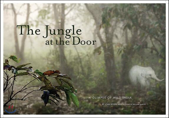 The Jungle at the Door: A Glimpse of Wild India