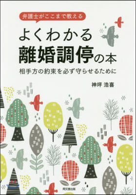 弁護士がここまで敎えるよくわかる離婚調停