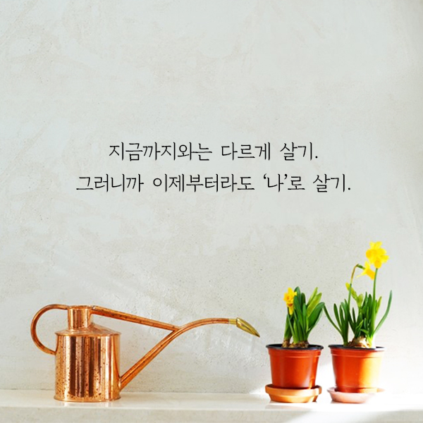 카드뉴스4