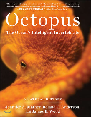 Octopus: The Ocean&#39;s Intelligent Invertebrate