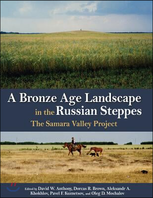 A Bronze Age Landscape in the Russian Steppes: The Samara Valley Project