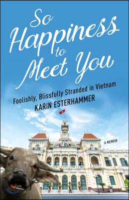 So Happiness to Meet You: Foolishly, Blissfully Stranded in Vietnam