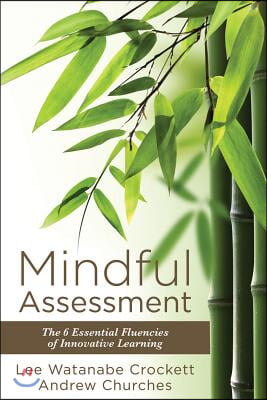 Mindful Assessment: The 6 Essential Fluencies of Innovative Learning (Teaching 21st Century Skills to Modern Learners)