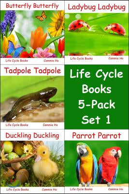 Life Cycle Books Set