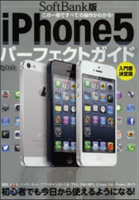 Softbank版 iPhone5パ-フ