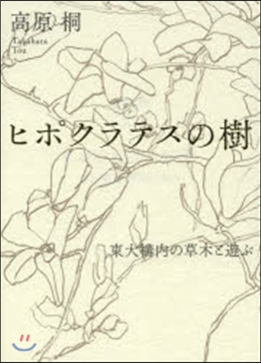 ヒポクラテスの樹－東大構內の草木と遊ぶ