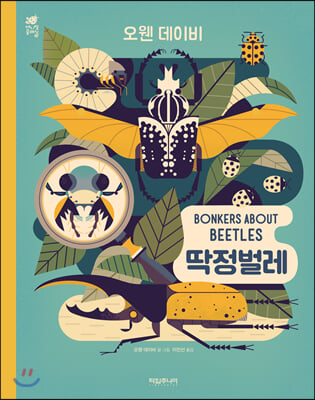 BONKERS ABOUT BEETLES 딱정벌레