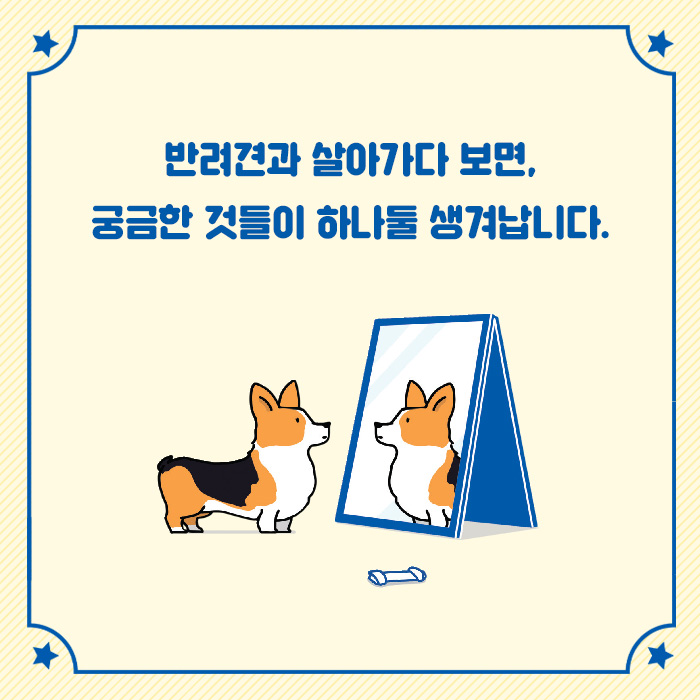 카드뉴스1