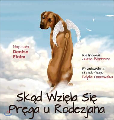 Skad Wziela Sie Prega U Rodezjana