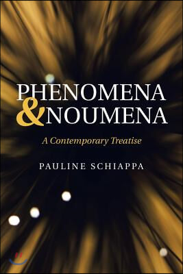 Phenomena &amp; Noumena: A Contemporary Treatise