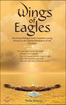 Wings of Eagles: Practicing Abiding in God&#39;S Consistent Loving Presence in the Chaotic Floodwaters of Life (Devotional)