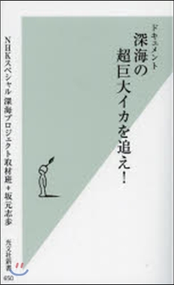 ドキュメント 深海の超巨大イカを追え!