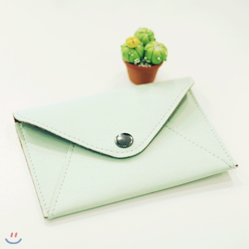 Envelope Cardcase-Mint