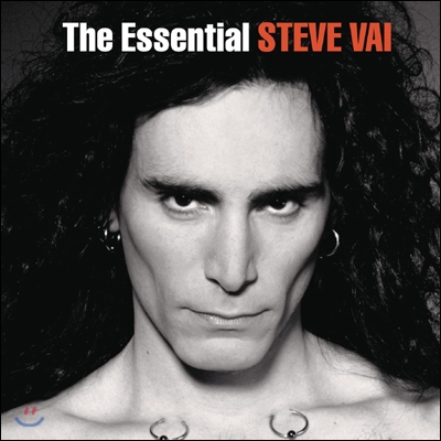 Steve Vai - The Essential Steve Vai 스티브 바이 베스트 앨범