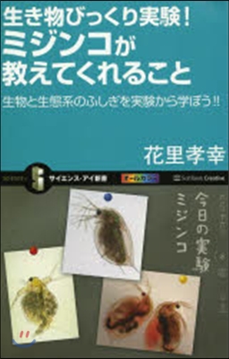 生き物びっくり實驗!ミジンコが敎えてくれること 生物と生態系のふしぎを實驗から學ぼう!!