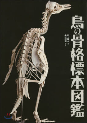 鳥の骨格標本圖鑑