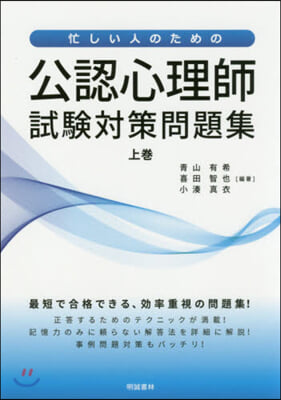 公認心理師試驗對策問題集 上