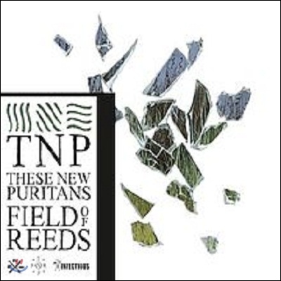 These New Puritans - Field of Reeds