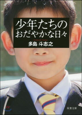 少年たちのおだやかな日日 新裝版