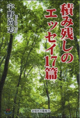 積み殘しのエッセイ17篇