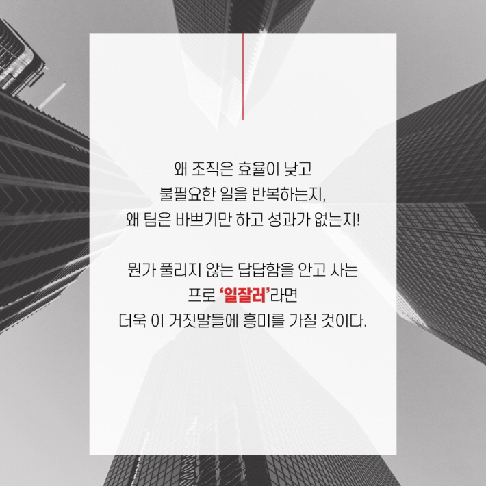 카드뉴스17