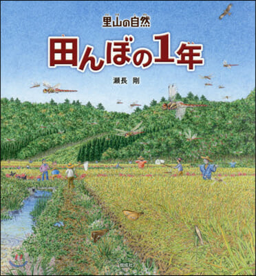 里山の自然 田んぼの1年