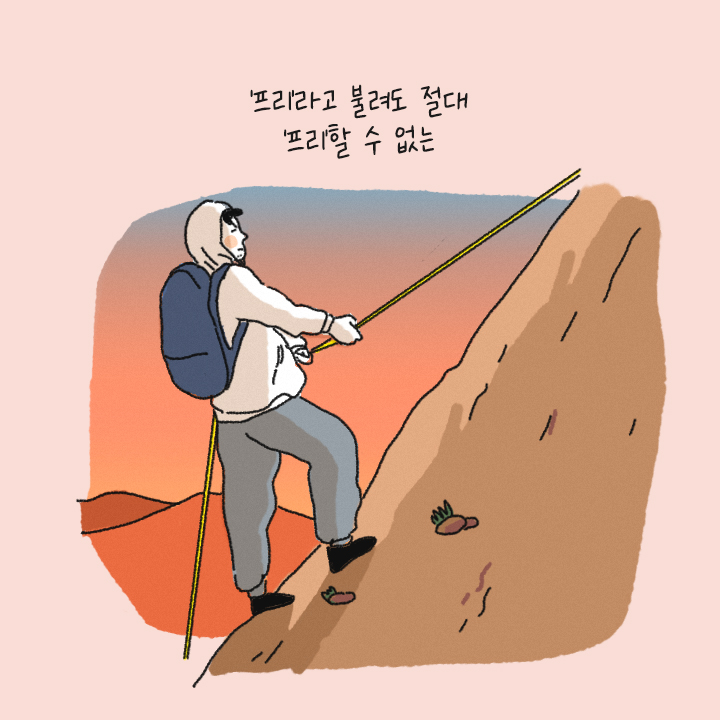 카드뉴스26