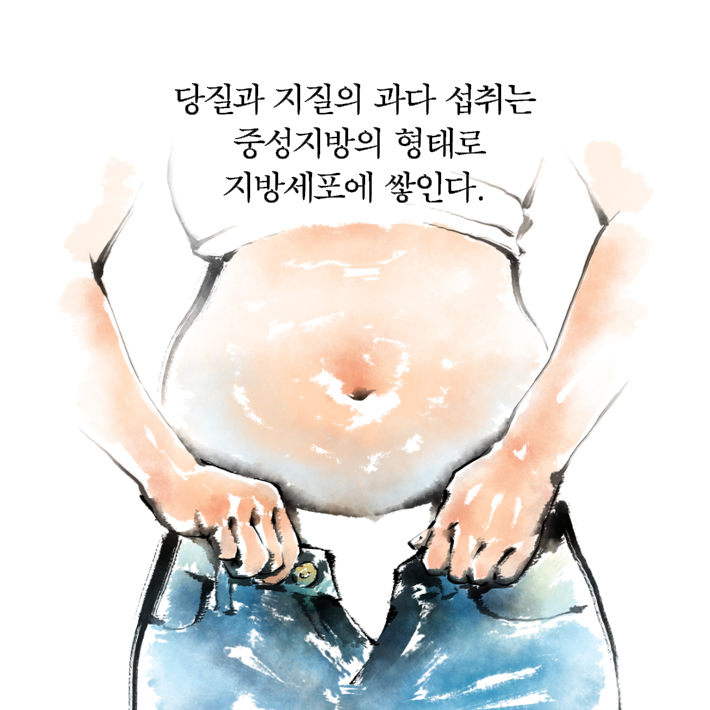 카드뉴스4