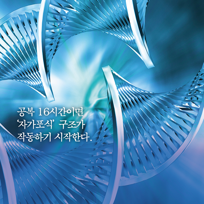 카드뉴스8