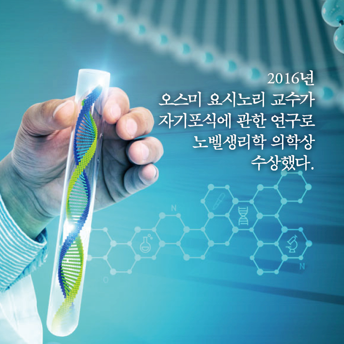 카드뉴스9