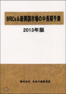 ’13 BRICs&新興國市場の中長期予