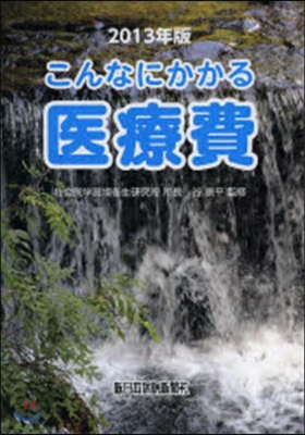 ’13 こんなにかかる醫療費