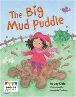 Big Mud Puddle