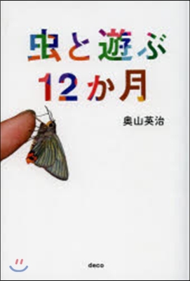 蟲と遊ぶ12か月