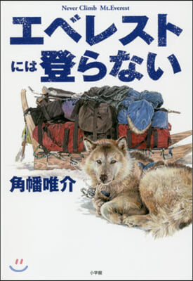 エベレストには登らない