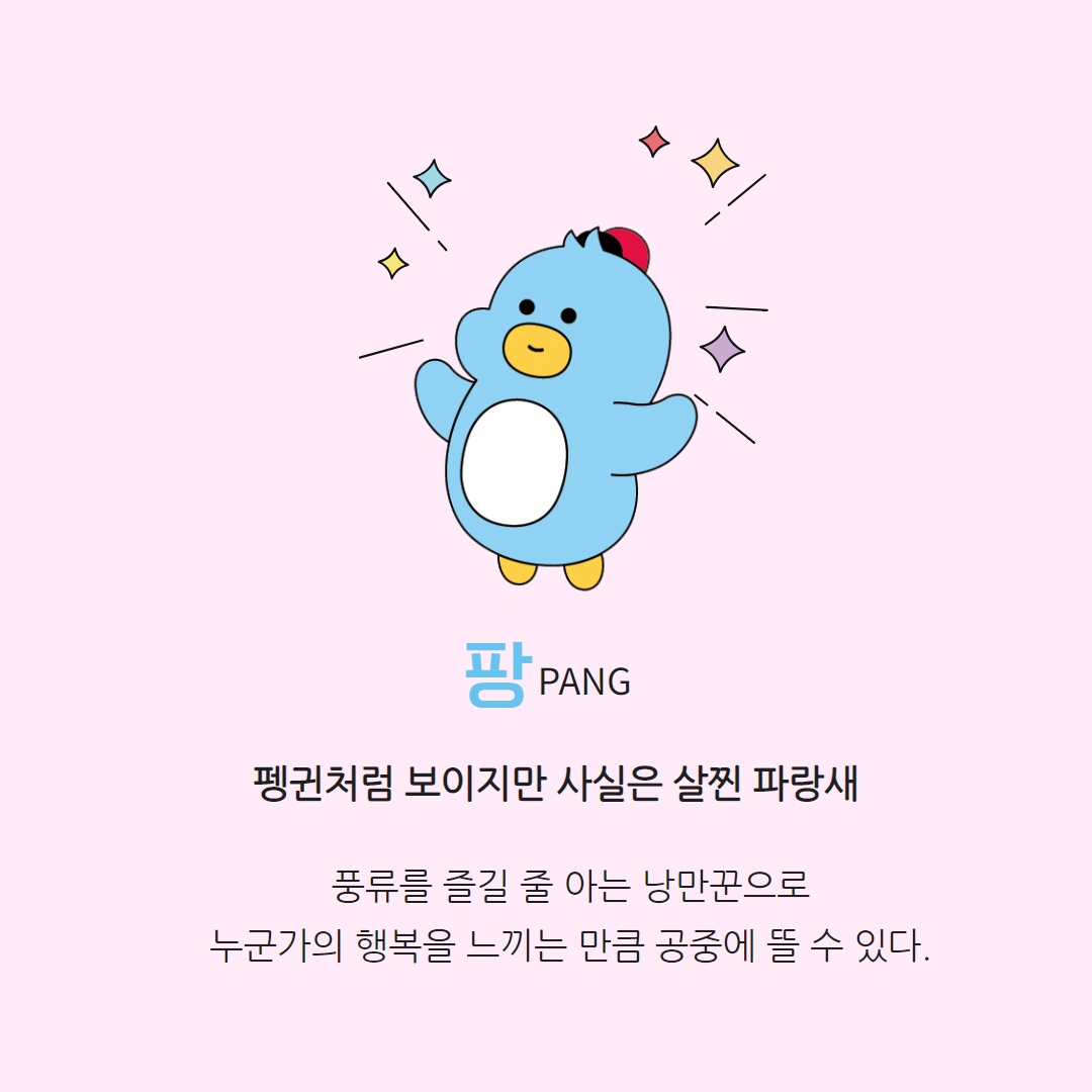 카드뉴스5
