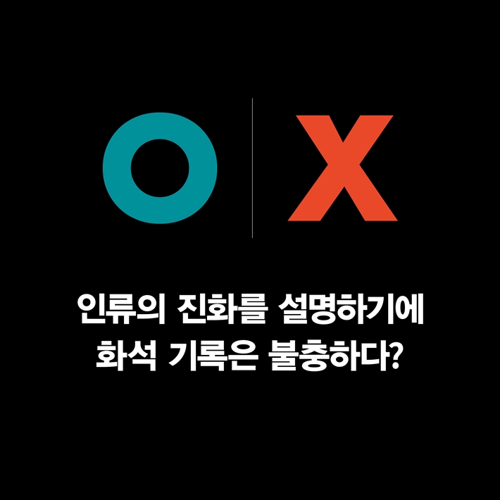 카드뉴스1