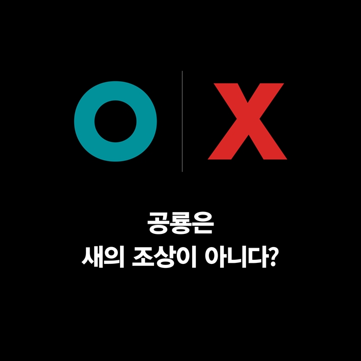 카드뉴스3
