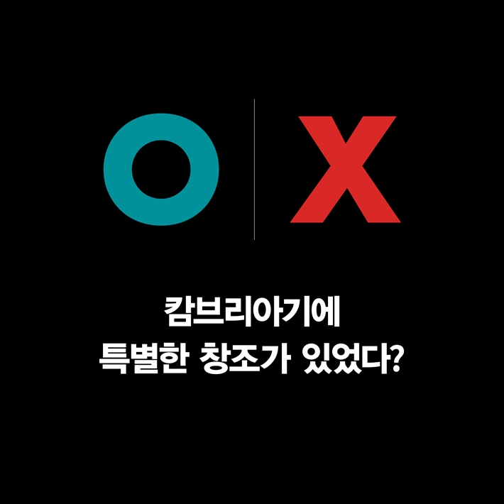 카드뉴스5