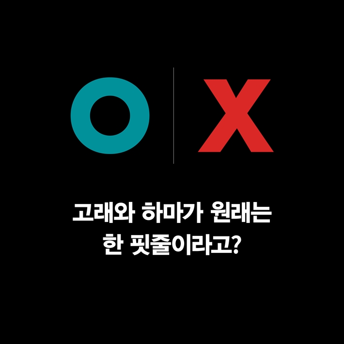 카드뉴스7
