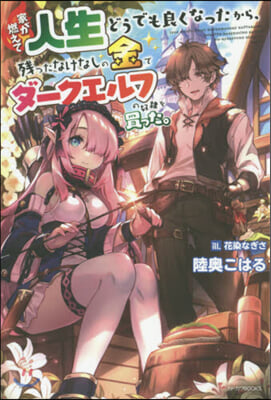 家が燃えて人生どうでも良くなったから,殘ったなけなしの金でダ-クエルフの奴隷を買った。 