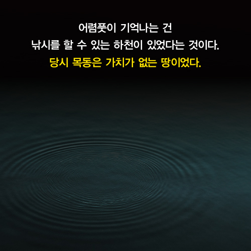 카드뉴스2