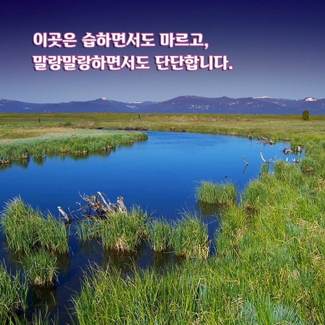 카드뉴스1