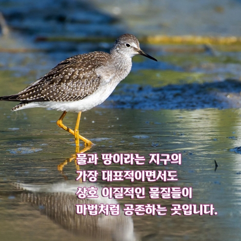 카드뉴스2