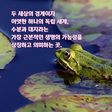 카드뉴스3